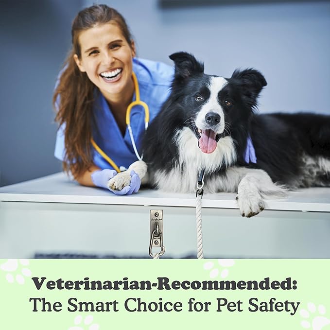 Canine Hitch- Secure Dog Leash Parking Indoor- Outdoor Wall Hook with Clip - Tie Out Stainless Steel - Practical Lead Management for Home & Business