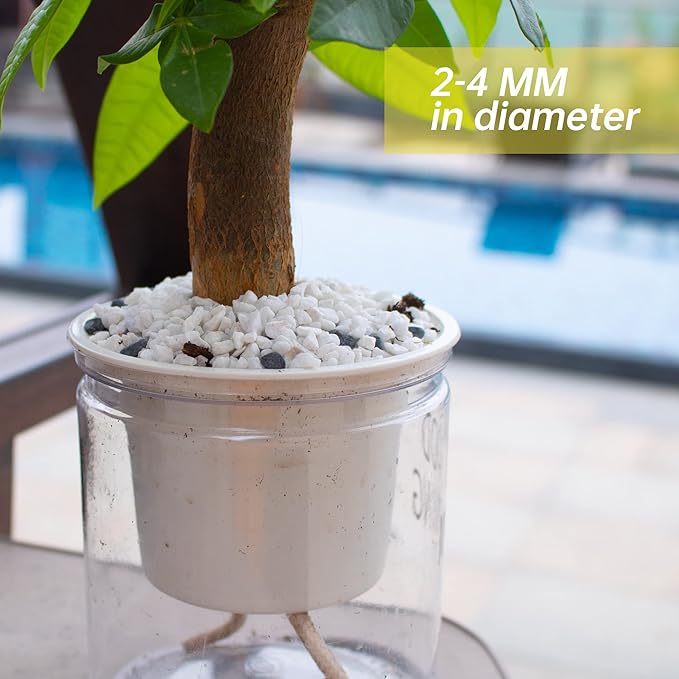 7lb White Cactus Pea Gravel Rocks,1/4 Inch Pebbles for Indoor Plants, Natural Succulent Rock and River Rocks Decorative for Aquariums, Vases, Outdoor Gardening, Top Dressing for Potted Plants