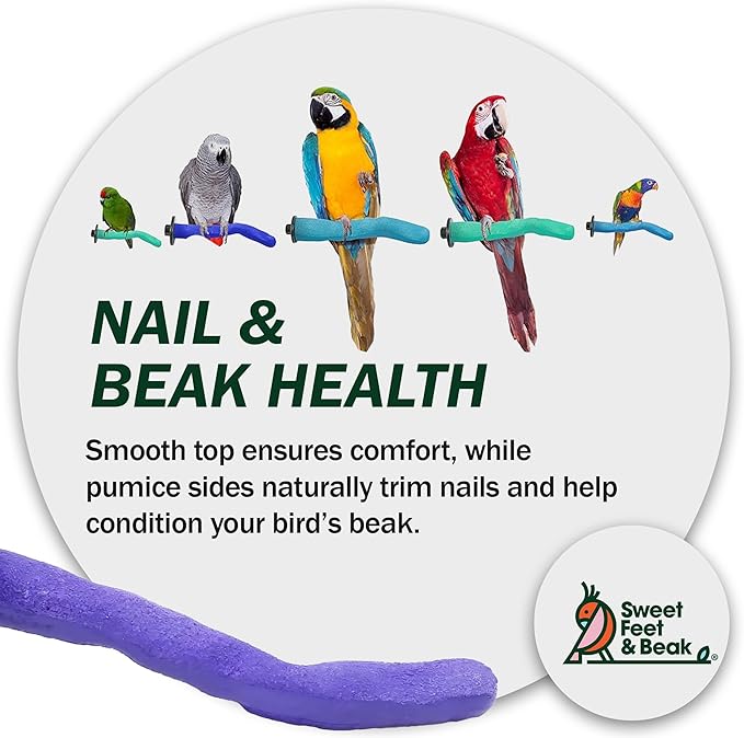 Safety Pumice Perch - Trims Nails and Beak - Promotes Healthy Feet - Safe Non-Toxic Bird Supplies for Bird Cages - Small 8"