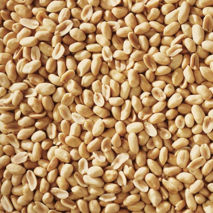 Shelled Peanuts Seeds Combo Wild Bird Food - 10 Pounds- 5 Pounds Combo Pack of 2 I No Grow Seed I Bird Food for Wild Birds