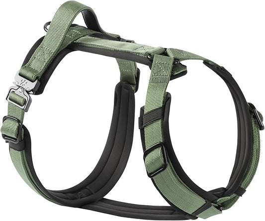 CLEPAWS Dog Harness for Large Dogs, No Pull Dog Harness Easy Walk with Metal Hardware, Ergonomic Y-Shaped Design, Soft Padding, Padded Handle, Durable High-Tensile Nylon (Evergreen, L)