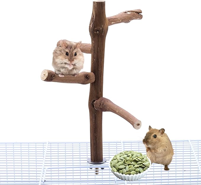 Bird Perch Stand Toy, Natural Grapevine Wood Parrot Perch Bird Cage Branch Accessories for Parakeets Cockatiels Conures Macaws Finches Love Birds(9.8" Length)