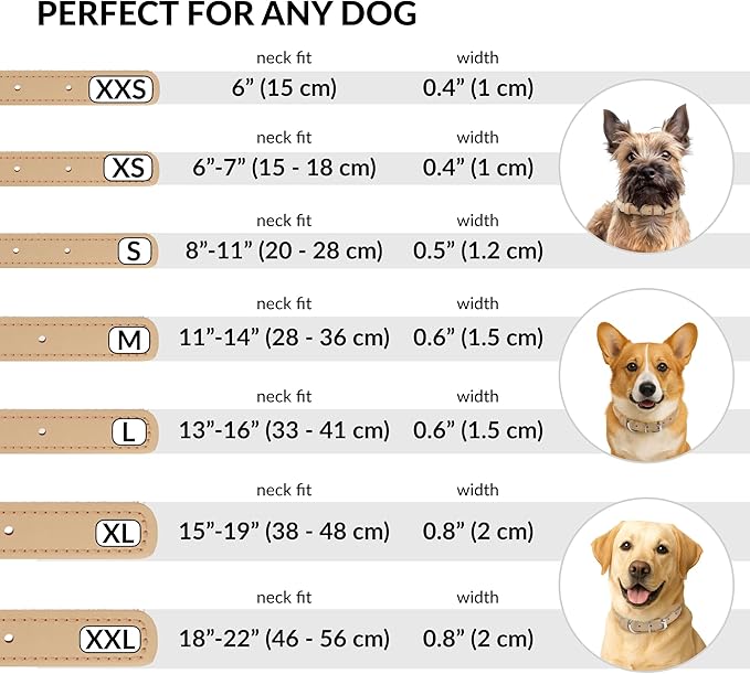 CollarDirect Rolled Leather Dog Collar, Soft Padded Round Puppy Collar, Handmade Genuine Leather Collar Dog Small Large Cat Collars 13 Colors (13-16 Inch, Beige Smooth)