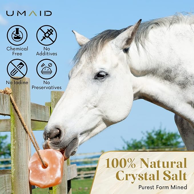 UMAID Himalayan Salt Lick 6 lbs. on Rope for Horses, Deer, Goats, Cow, Sheep, Cattle, Alpacas, and Livestock – Mineral Horse Treats, Natural Himalayan Rock Salt Block for Deer and Horses, 4 Pack