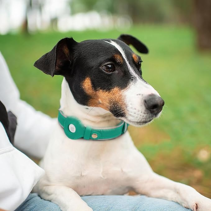 OOPSDOGGY Reflective Geniune Leather Airtag Dog Collar Soft Padded Collars for Small Medium Large Breed Dogs Puppy, 4 Sizes, 7 Colors (Teal, Large, 15"-19")