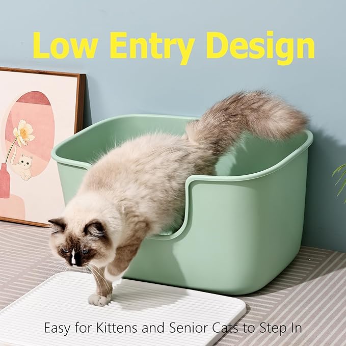 SpaceTime Extra Large Litter Box with High Sides,XL Low Entry Multi Cat Litter Pan for Kittens,Jumbo Litter Boxes for Big Cats,Anti-Splashing Cat Boxes for Indoor Cats,Easy to Clean (AvocadoGreen)