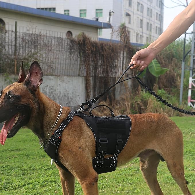 ICEFANG Tactical Dog Leash,K9 Training Walking Bungee Lead with 2 Control Handle,Heavy Duty Quick Release Metal Clasp,Hands Free D-Ring for Medium Large Dogs (4ft,Reflective Black)