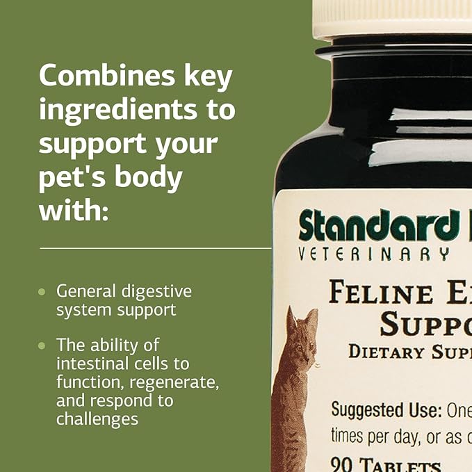 Standard Process Inc. Feline Enteric Support - 90 Tablets