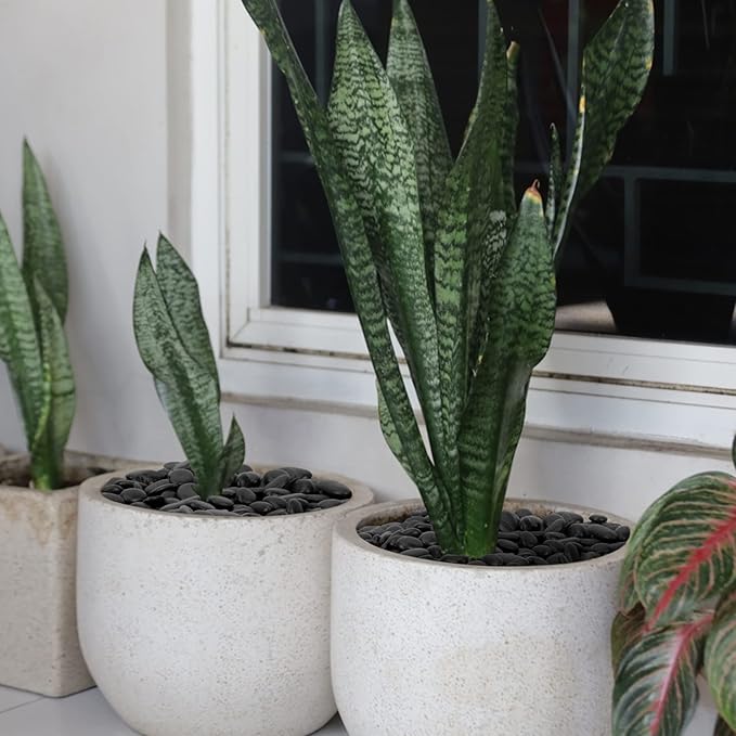 Mr. Fireglass 10 lbs Black Pebbles, 3/8" Natural Decorative Polished River Rocks Aquarium Gravel for Indoor Plants, Vases, Succulents and Outdoor Garden Landscaping