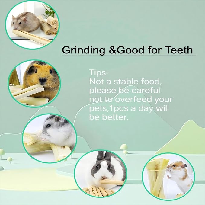 700g/1.5lb Sweet Bamboo Sticks for Rabbits Bunny Chew Toys,Chinchilla Molar Treats Chew Sticks for Small Animals Rabbits Hamsters Guinea Pigs