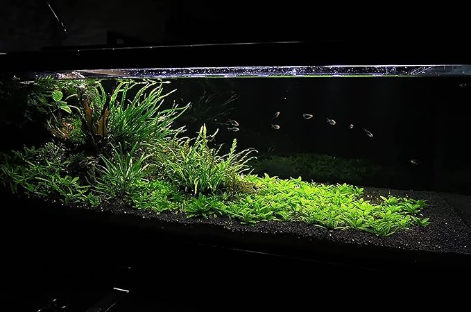 Ultum Nature Systems Controsoil - Freshwater Aqua Soil Substrate for Fish, Shrimp, Live Plant Propagation and Aquascaping - 6.8pH Low Ammonia, Volcanic Ash - Black, Fine (1 Liter | 2LB)