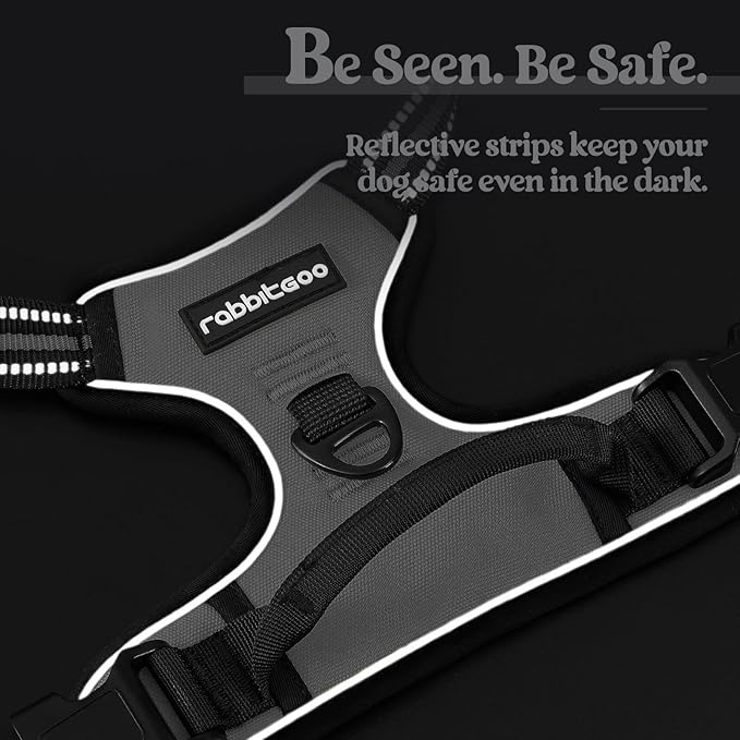 rabbitgoo Dog Harness No Pull with 2 Leash Clips, Adjustable Soft Padded, Reflective Oxford No Choke Pet Vest with Easy Control Handle for Small Dogs, Grey, S