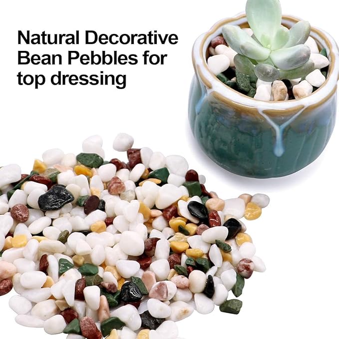 TOYPOPOR 6LB Succulent and Cactus Gravel Pebbles, 1/5 Inch Natural Decorative Polished Stones, River Rocks for Plants, Vases, Aquariums, Terrarium and Outdoor Gardening, Mixed Color
