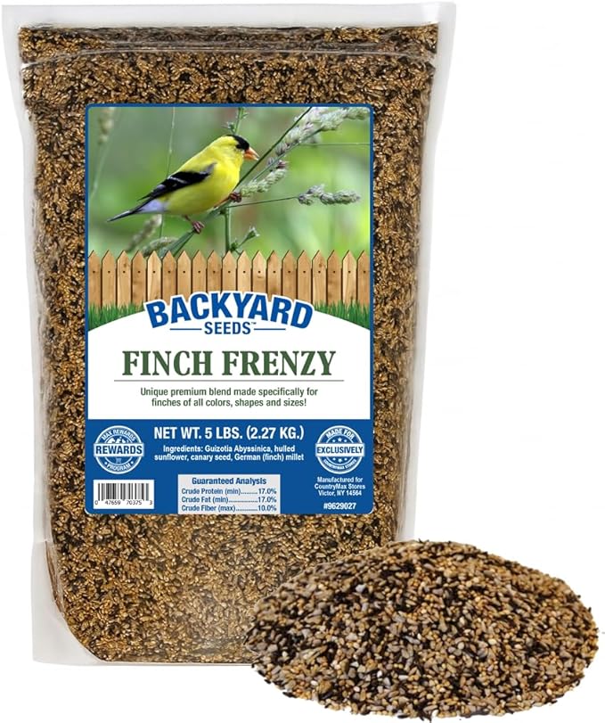 CountryMax Backyard Seeds Finch & Small Songbird Frenzy Wild Bird Seed Mix – 5 lb Bag | Premium Blend with Nyjer, Millet, Sunflower Chips | Attracts Goldfinches, House Finches, Chickadees