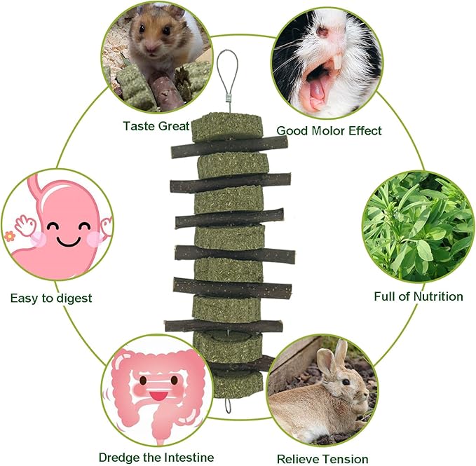 Rabbit Chew Toys for Teeth Grinding Bunny Treats 100% Natural Wood Timothy Grass Treats for Guinea Pigs Chinchillas Hamsters 8pcs