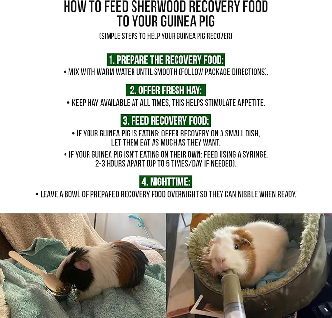 Pet Guinea Pig Emergency Kit with Timothy Recovery Food (Large Emergency Kit)