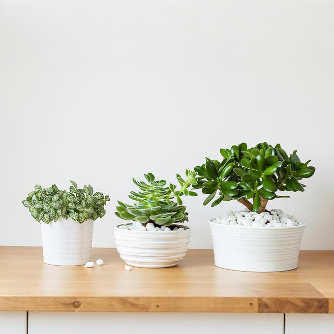 Mr. Fireglass 5 lbs White Pebbles,1/5" Natural Decorative River Rocks Aquarium Gravel for Indoor Plants, Vases, Succulents and Outdoor Garden Landscaping