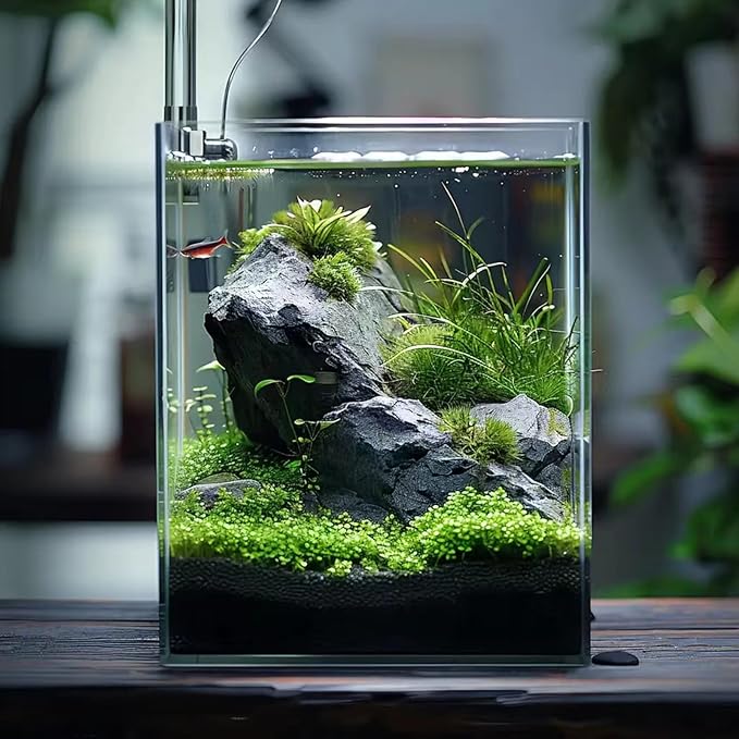 5 Gallon Glass Fish Tank, Easy to Maintain Small Aquarium for Betta/Snails/Shrimp and Aquatic Planting.
