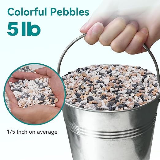 5 lbs Small Rocks for Succulents, 1/5 Inch Pebbles for Indoor Plants, Decorative Pea Gravel for Terrarium, Vases, Aquariums, Fish Tank, Drainage Rocks for Potted Plants, Bamboo,Crafts, Cactus