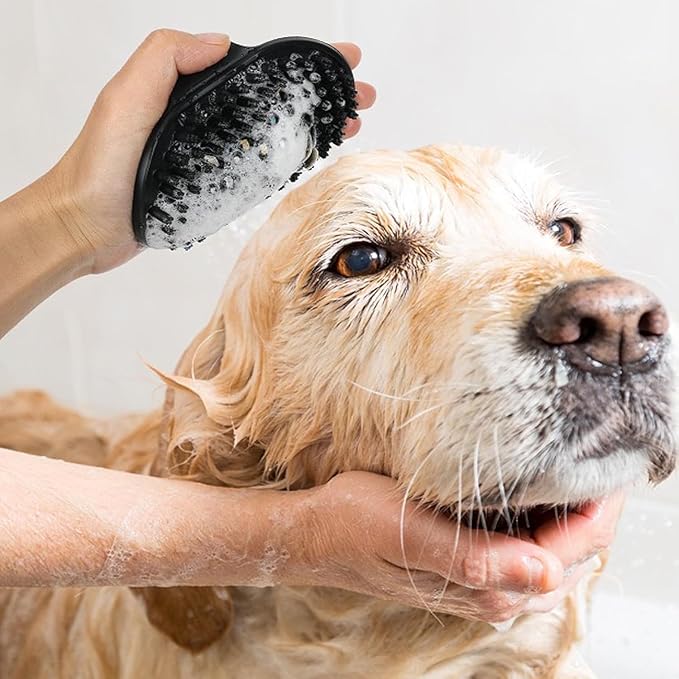 Dog Brush Kit for Grooming Short & Long Haired Dogs & Cats, 4-in-1 Pet Grooming Set with Self-Cleaning Slicker Brush, Deshedding Tool, Shampoo Bath Comb, Massge Comb (Green Black)