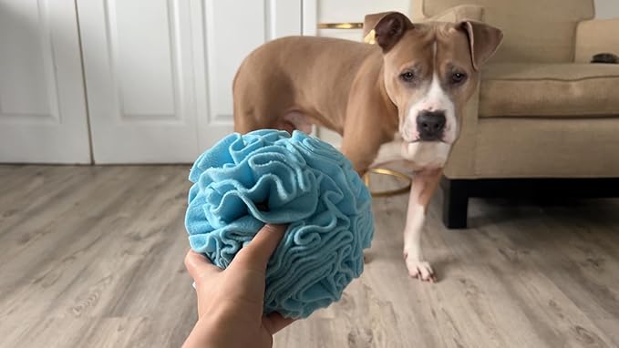 Medium Breed Snuffle Interactive Foraging Dog Puzzle Ball Toy Blue Large