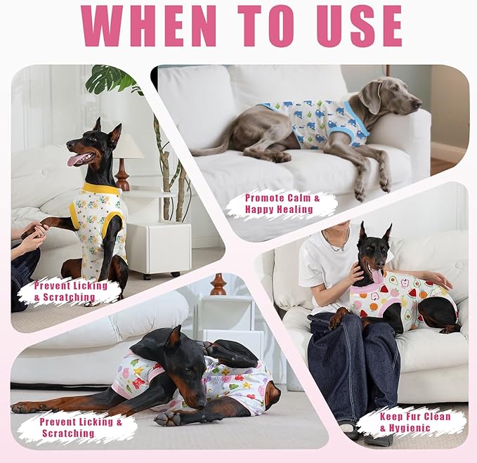 Recovery Suit for Dogs After Surgery, Professional Dog Surgical Suit for Female Spay, Male Neuter, E-Collar & Cone Alternative Dog Onesie for Abdominal Wounds Skin Disease, Fruit, XXL