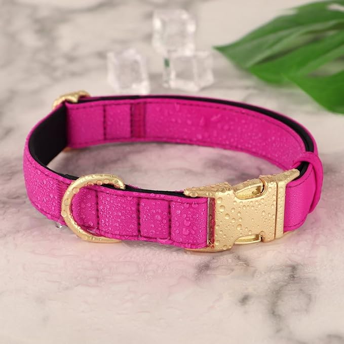Didog Soft Padded Dog Collars for Medium Dogs, Colorful and Durable Dog Collar with Quick Release Buckle, Light and Breathable for Daily Walking, Rose Purple, M