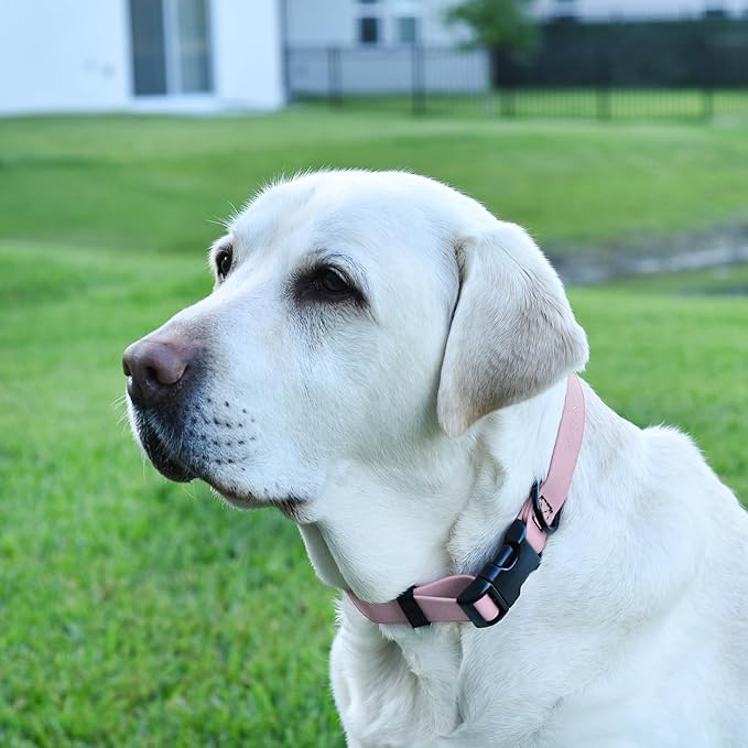 Dogline Biothane Waterproof Dog Collar with Quick Release Buckle Strong Coated Nylon Webbing with Odor- Proof for Easy Care Easy to Clean Fits Small Medium Large Dogs, Lavender 5/8" W 9-14" L