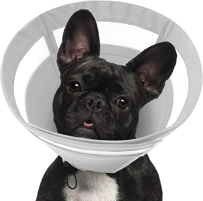 SAWMONG Soft Dog Cone for Small Dogs, Adjustable Pet Recovery Collar to Stop Licking, Comfy Elizabeth E-Collar for Dogs After Surgery Alternative (S,Grey)