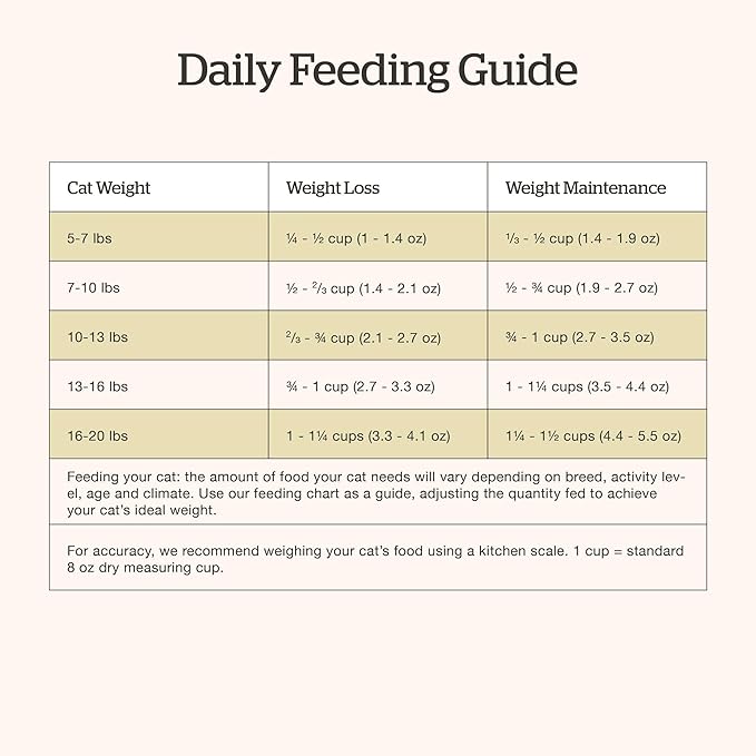 Now Fresh Grain-Free Senior Dry Cat Food with Turkey, Salmon & Duck, Premium Kibble Made with Real Meat & Fish, Chicken-Free Recipe, Supports Healthy Weight Management, 8 lb Bag