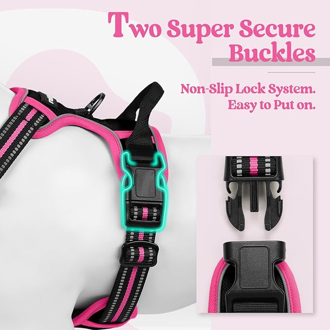 rabbitgoo Dog Harness No Pull with 2 Leash Clips, Adjustable Soft Padded, Reflective Oxford No Choke Pet Vest with Easy Control Handle for Large Dogs, Black & Hot Pink, S