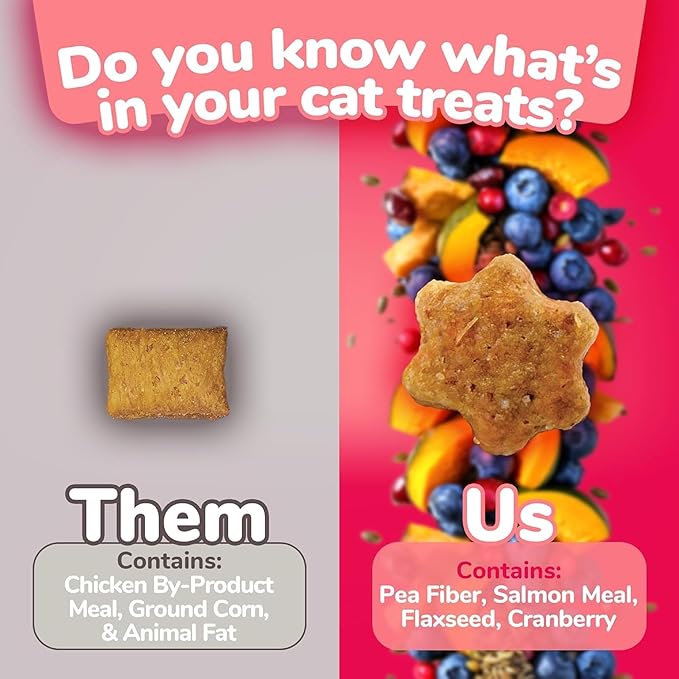 Fruitables Cat Crunchy Treats For Cats – Healthy Low Calorie Packed with Protein – No Wheat, Corn or Soy – Made with Real Salmon with Cranberry – 2.5 Ounces