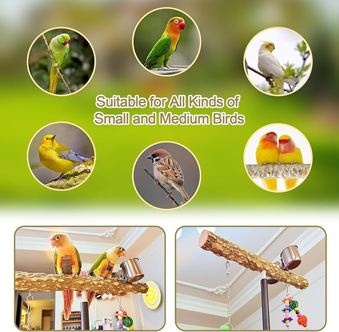 18-27 Inch Height Adjustable Bird Perch Pepper Wood Desktop Bird Training Perch Stand with Feeding Cups and Swing Toy Parakeet Perches Indoor and Outdoor Parrot Stand for Small to Medium Birds