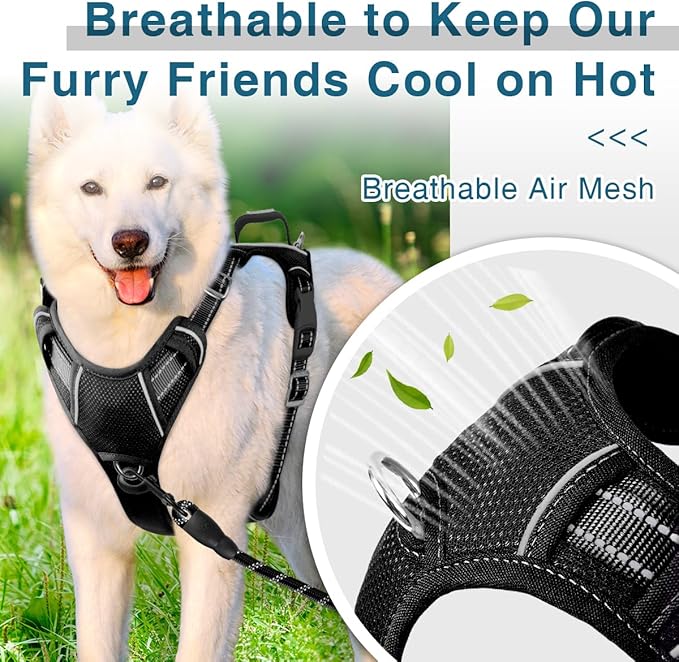 BARKBAY Dog Harness No Pull with ID Tag Pocket - Heavy Duty, Reflective, Easy Control for Large Dogs(Black,M)
