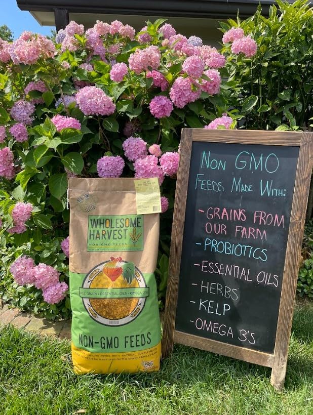 Non-GMO High-Protein Layer Blend 40 lb