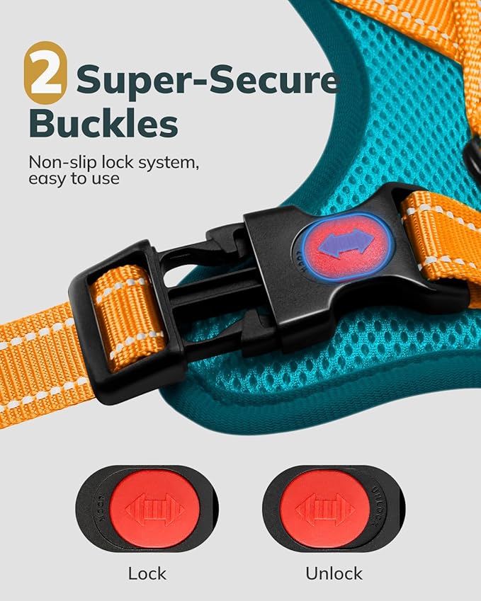 MIDOG No-Pull Dog Harness | Adjustable & Reflective Pet Harness Leash Set for Small Medium Large Dogs Walking, Training| No Choke, Front Clip, Soft Padded Vest with Easy Control Handle - Blue, L