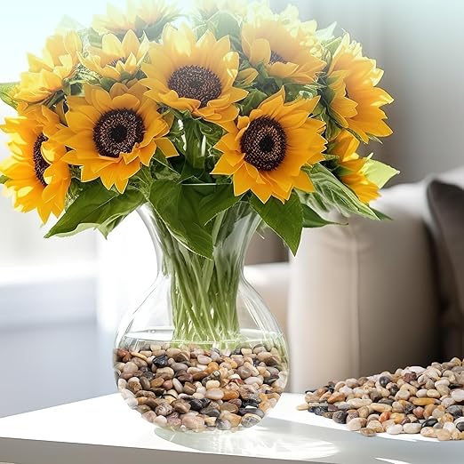 5 lbs Pebbles for Indoor Plants, Vase, Succulent, 3/8" Gravel for Plants, Pots Indoor, Bamboo Rocks for Bamboo Plants, Decorative Small River Rock, Highly Polished