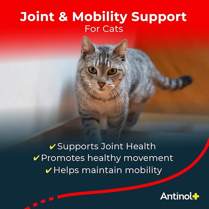 Plus, Mobility, Hip, and Joint Supplement for Cats, Green-Lipped Mussels and Krill Oil - Cat Joint Supplement, 60 Soft Gels