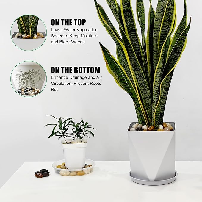 River Rocks 10 Lbs,0.4-1.2 Inch Pebbles for Indoor Plants, High Polished Stones for Garden Landscaping, Smooth Gravel Filler for Outdoor Plants, Succulents, Fish Tank and Vases