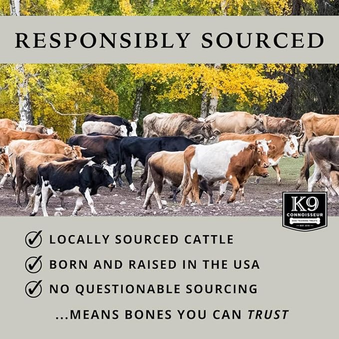 K9 Connoisseur Dog Bones Made in USA for Small and Medium Breed Dogs Natural Long Lasting Meaty Beef Knee Cap Bone Treats Best for Dogs Upto 50 Pounds 1 Pack 10 Count