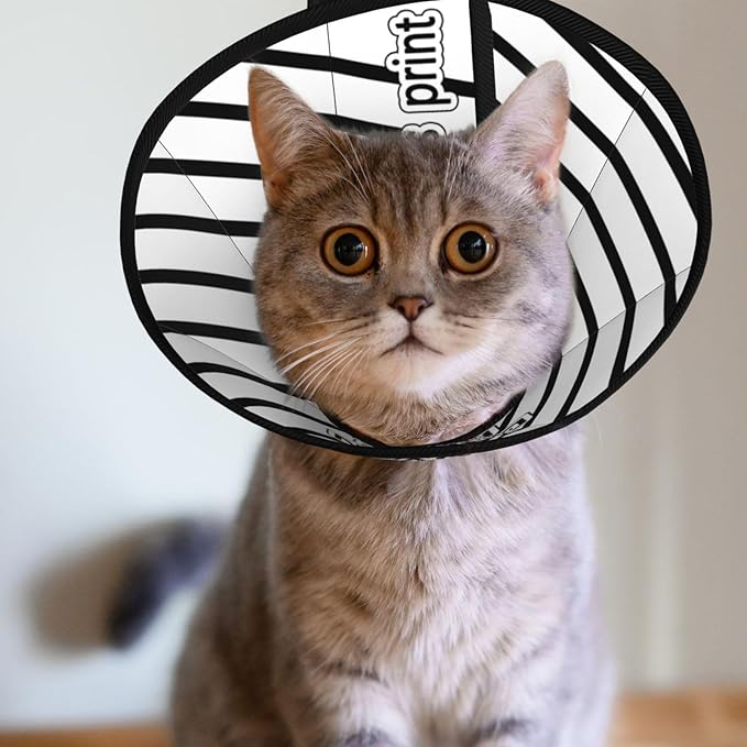Custom Cat Cone Collar Soft Lick Prevention Pet Recovery Collar for Spay Safety Elizabethan Collar