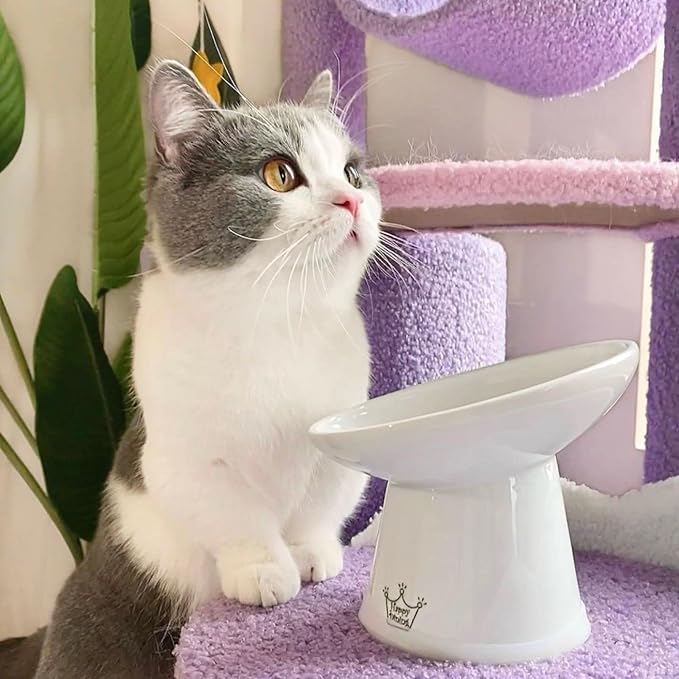 Necoichi Extra Wide Raised Cat Food Bowl, Elevated, Prevent Neck & Whisker Fatigue, Dishwasher and Microwave Safe, No.1 Seller in Japan! (Cat, Extra Wide Tilted)