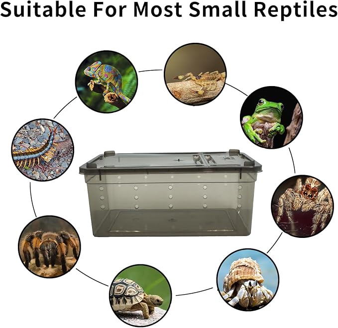 PINVNBY 8 PCS Reptile Feeding Box Portable Snake Breeding Box Lizard Cage Hatching Container 7.48"x4.92"x2.95" Transparent Plastic Pet Houses for Spider Scorpion Gecko Insect Tortoise Treefrog(Black)