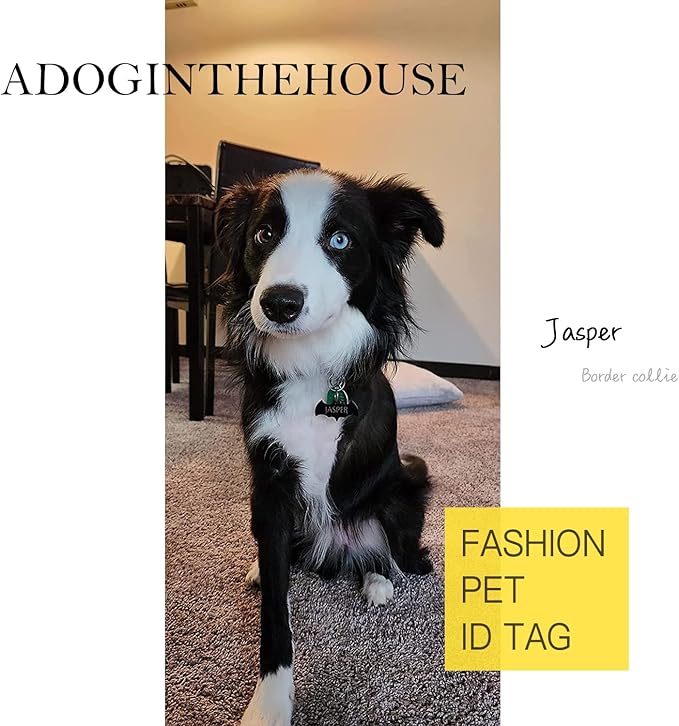 316 Surgical Grade Stainless Steel Personalized Dog & Cat ID Tags - Made with Three Thousand Love for Our Fur-Baby - Original Funny Shapes Bat, Engraved Name or Text for Pet Collar Accessories