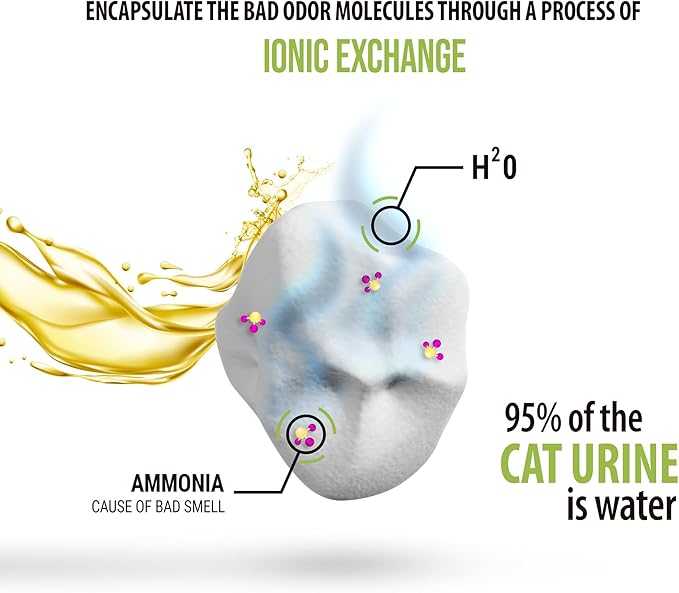 Skoon All Natural Cat Litter (1 Bag) - Original - Lightweight, Low Tracking, Non-Clumping Diatom Pebbles Absorb, Lock, and Seal Waste for Best Odor Control