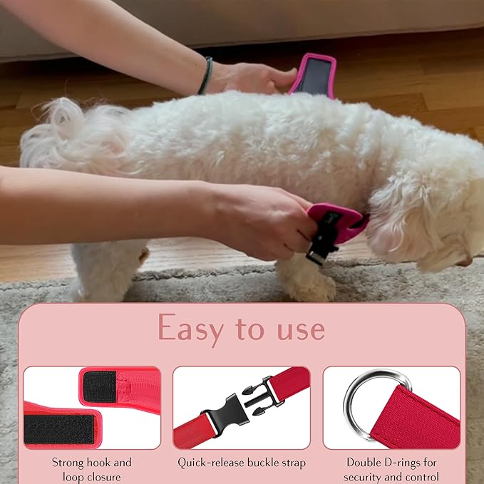 Comfort fit Step-in Dog & Puppy Harness - Comfortable All Weather Dog Vest Harness: Adjustable, Soft Padded, Easy to Put-on for Small, Medium-Sized Dogs.