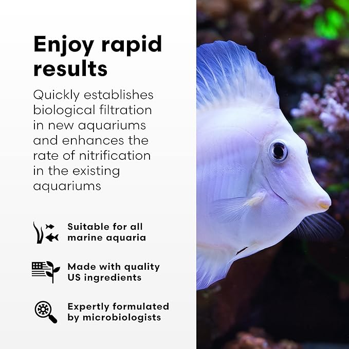 Brightwell Aquatics MicroBacter Start XLM - Concentrated Freshwater Nitrifying Bacteria - Quick Start Fish Tank Starter, Lift Microbe Levels & Water Filtering - Aquarium Water Treatments, 33.8 fl oz