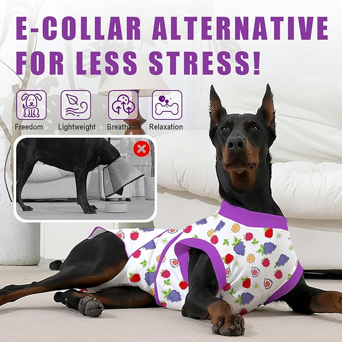 Recovery Suit for Dogs After Surgery, Professional Dog Surgical Suit for Female Spay, Male Neuter, E-Collar & Cone Alternative Dog Onesie for Abdominal Wounds Skin Disease, Purple, S