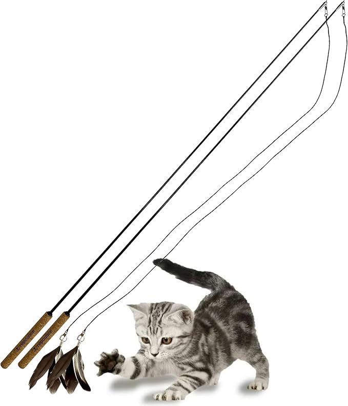 Forever Stick 2 Pack - The Unbreakable Cat Toy Wand, Extra Long Durable Interactive Cat Toy for Indoor Cats, Feather Kitten Toys for Bored Indoor Adult Cats, Bird Teaser Cat Accessories
