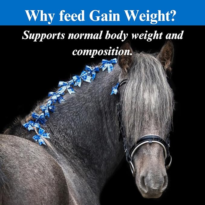 SU-PER Gain Weight for Horses - Equine Supplement Weight Gainer for Horses - Promotes Lean Muscle Mass, Digestion & Appetite - 10 Pound, 1 Month Supply